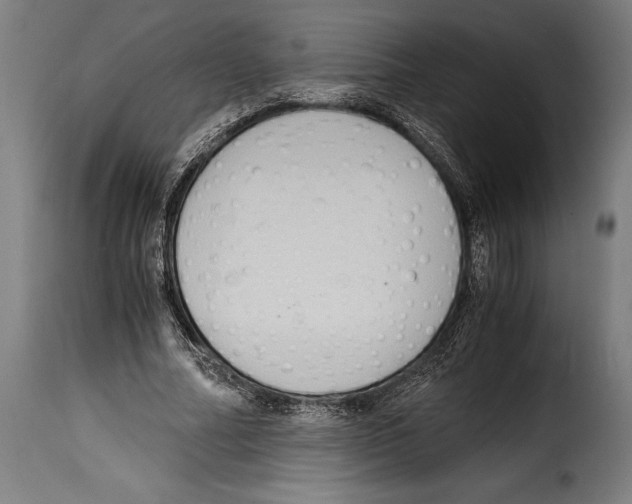 X0000115020682200911231251