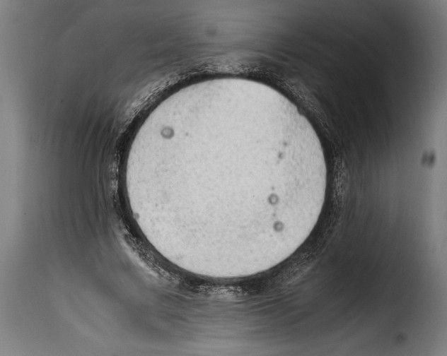 X0000115020683200911231251