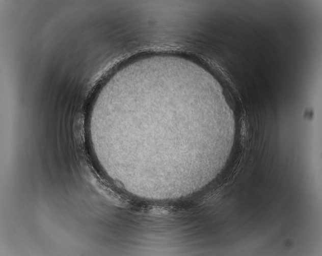 X0000115020684200911231251