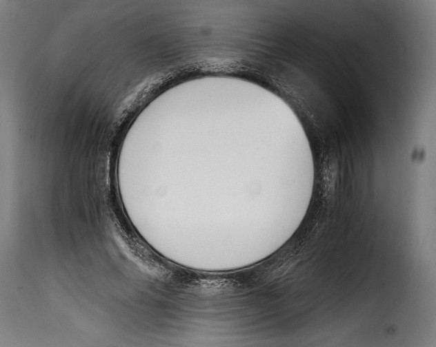 X0000115020686200911231251