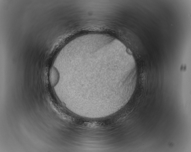 X0000115020688200911231251