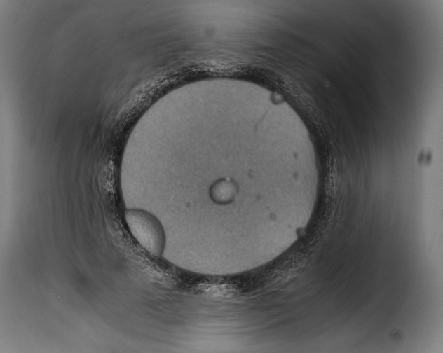 X0000115020689200911231251