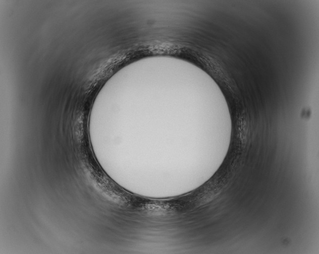 X0000115020690200911231251