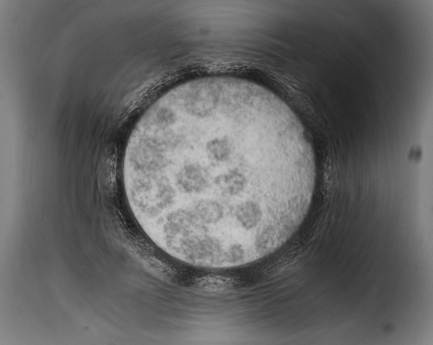 X0000115020691200911231251