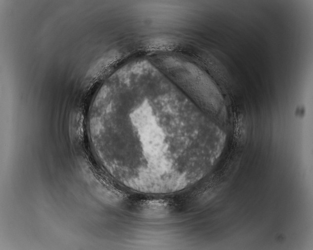 X0000115020692200911231251