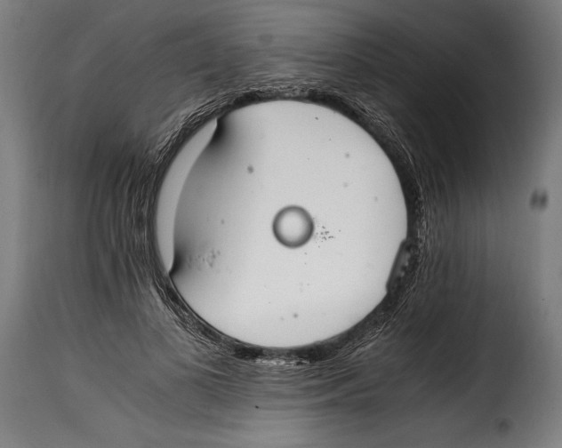 X0000115020693200911231251