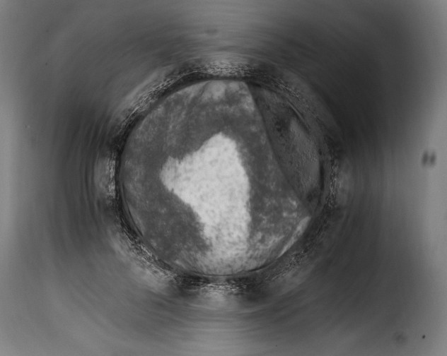 X0000115020696200911231251