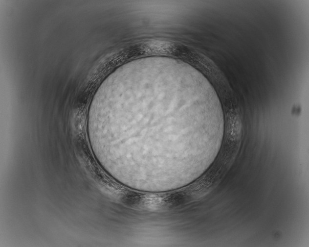 X0000115020701200911231251