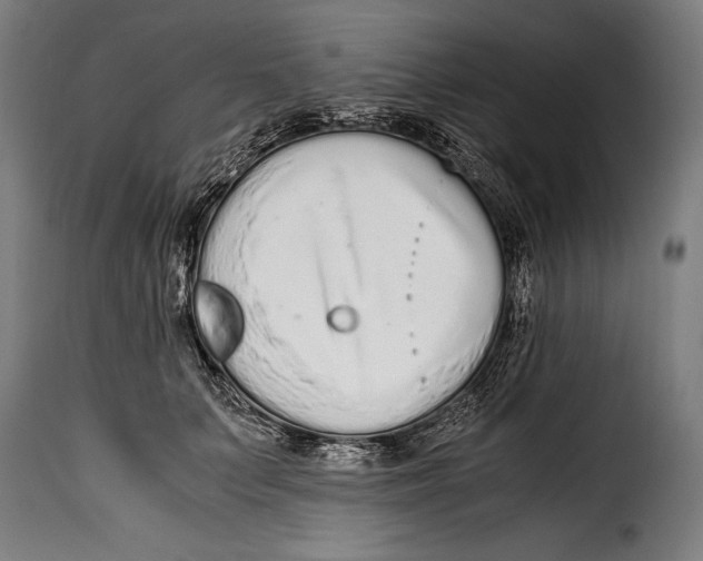 X0000115020703200911231251