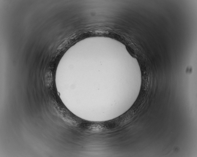 X0000115020704200911231251