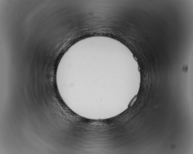 X0000115020708200911231250