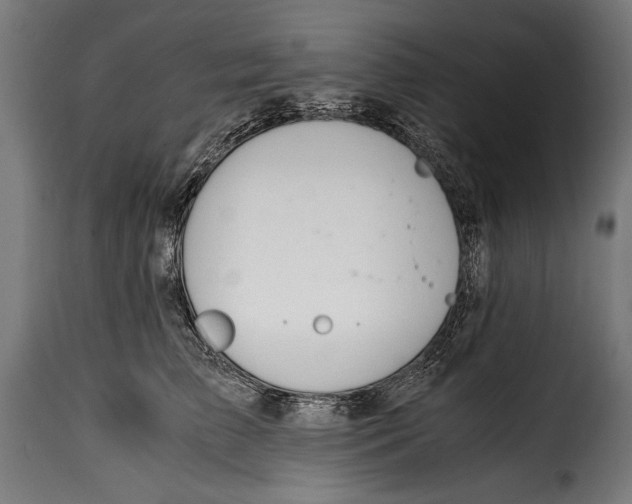 X0000115020709200911231250