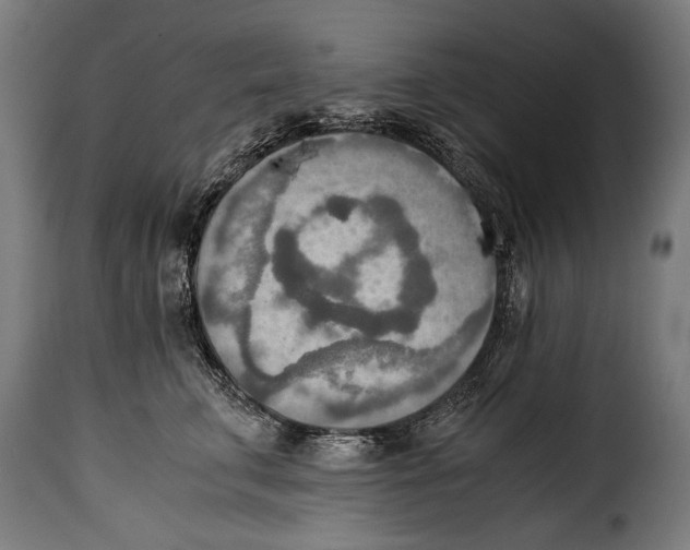 X0000115020711200911231250