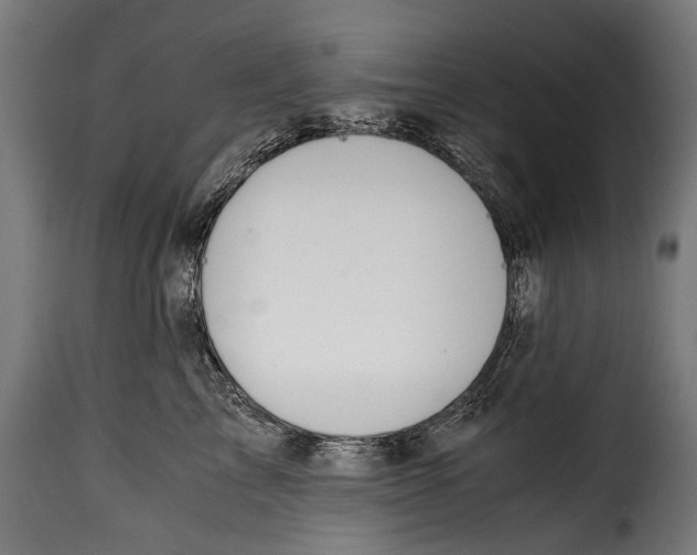 X0000115020713200911231250