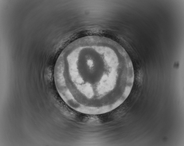 X0000115020715200911231250