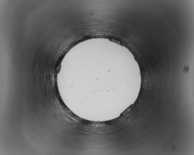 X0000115020716200911231250