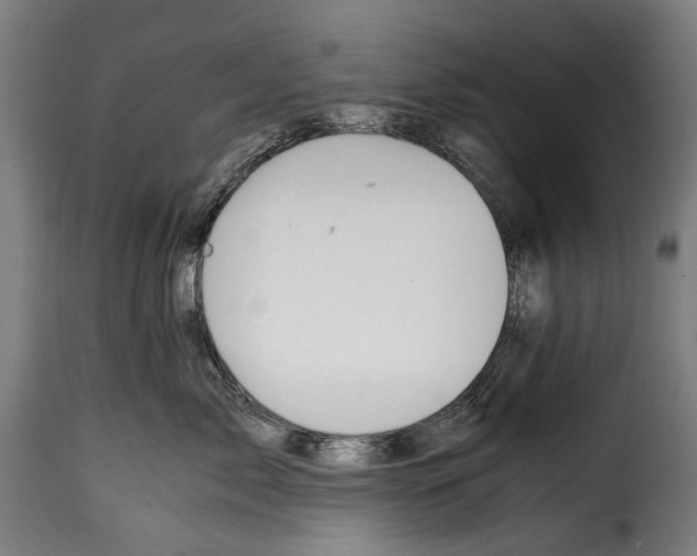 X0000115020717200911231250