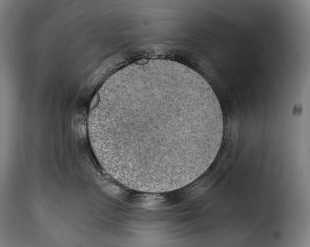 X0000115020719200911231250