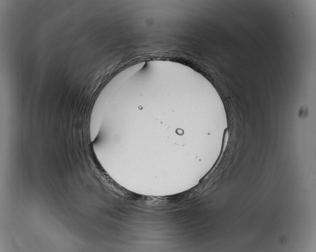 X0000115020720200911231250