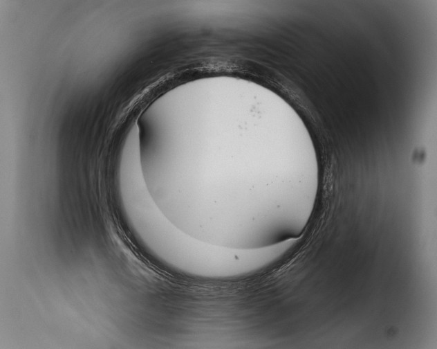 X0000115020722200911231249