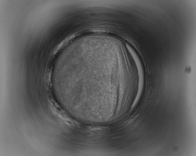 X0000115020723200911231249