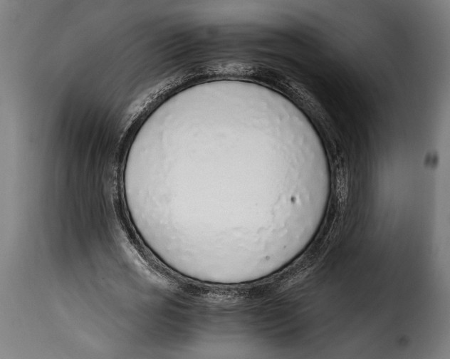 X0000115020725200911231250