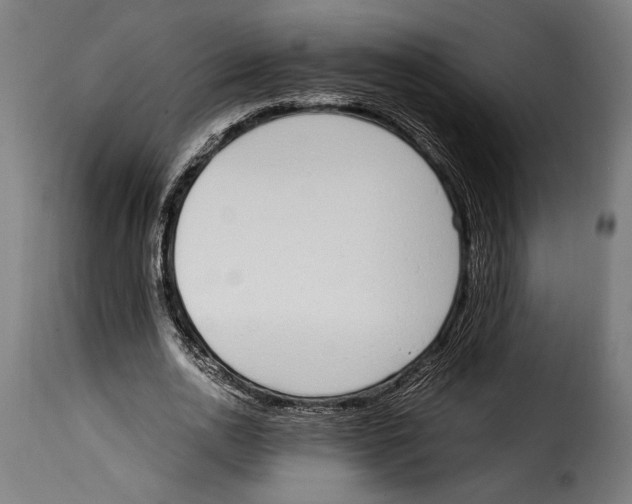 X0000115020726200911231250