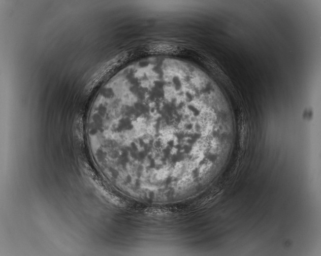 X0000115020729200911231250