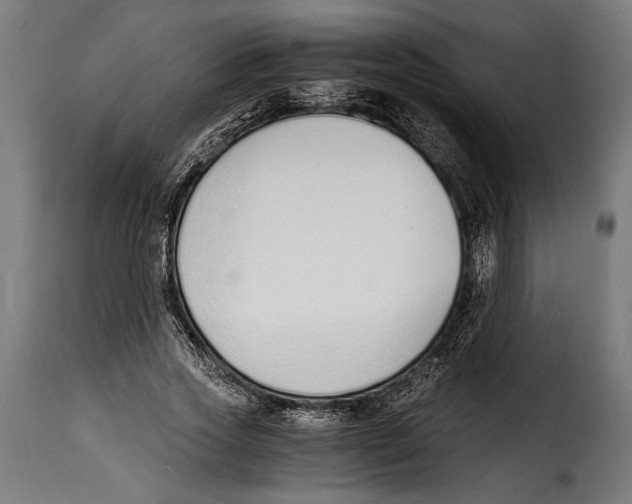 X0000115020733200911231250