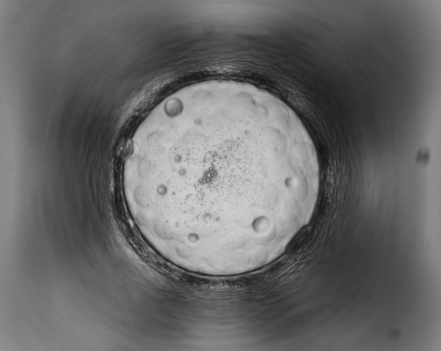 X0000115020734200911231250