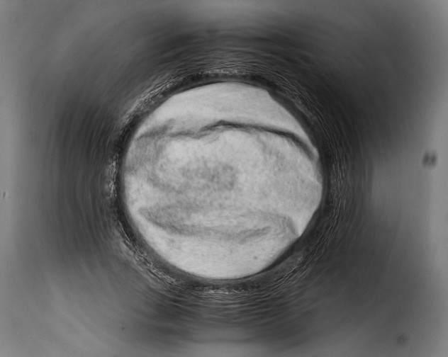 X0000115020735200911231250