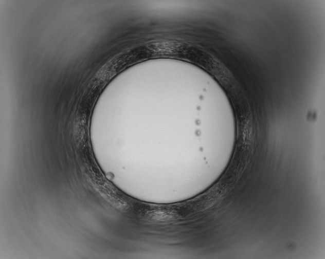 X0000115020737200911231250