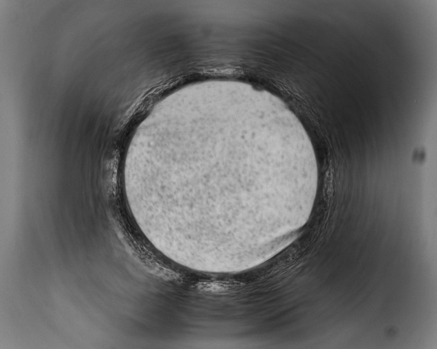 X0000115020739200911231250