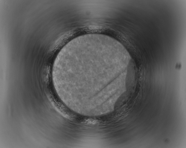 X0000115020742200911231250