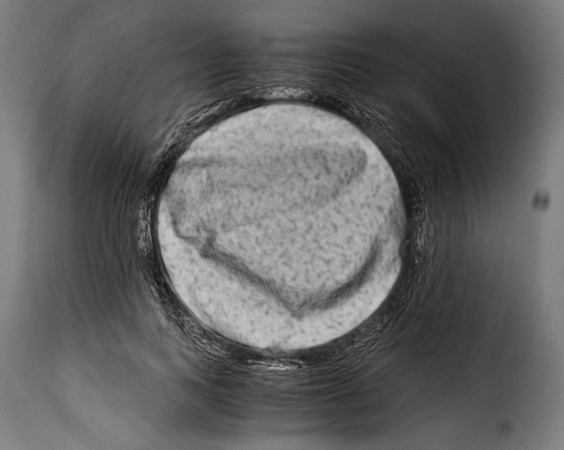 X0000115020743200911231250