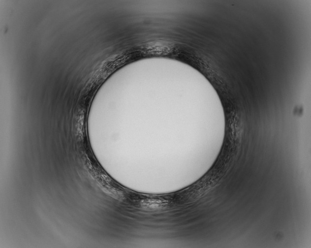 X0000115020745200911231250