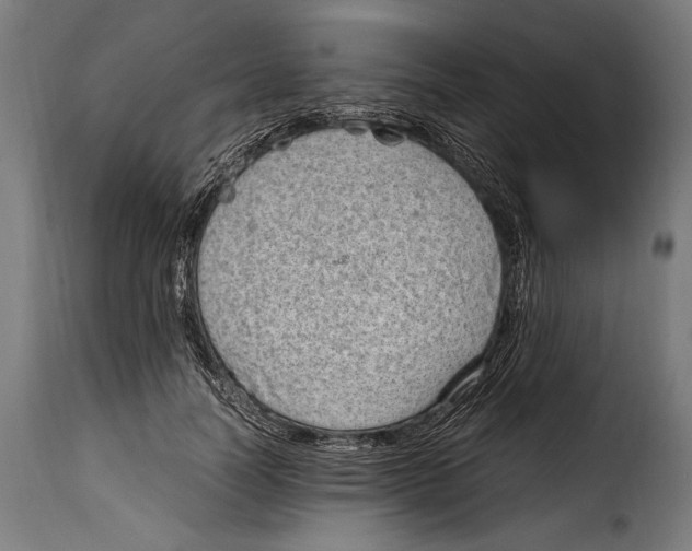 X0000115020746200911231250