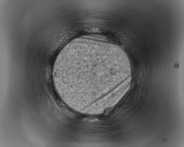 X0000115020747200911231250