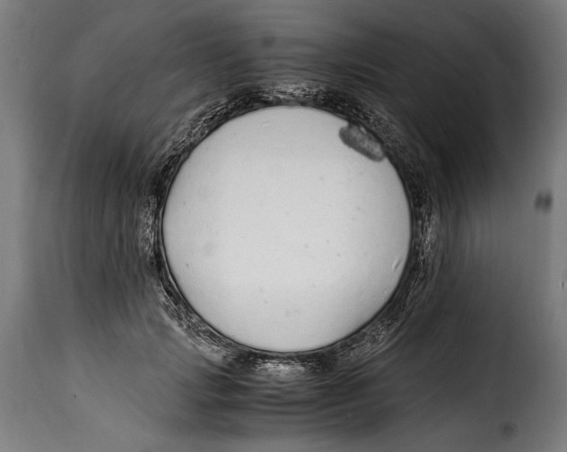 X0000115020749200911231250