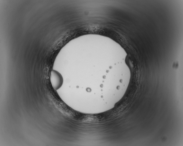 X0000115020750200911231250