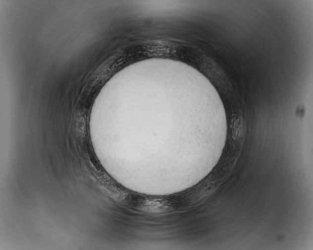 X0000115020753200911231250