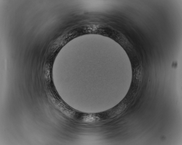 X0000115020754200911231250