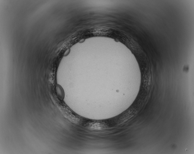 X0000115020755200911231250