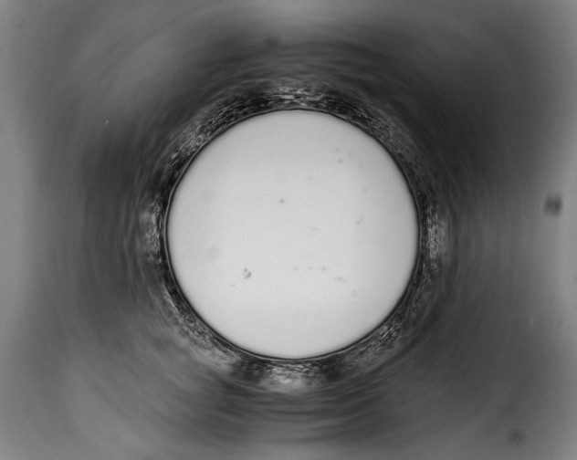 X0000115020757200911231250