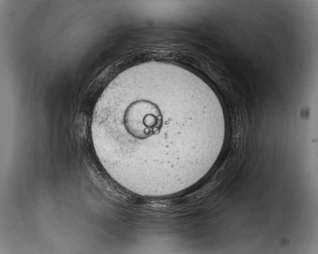 X0000115020758200911231250