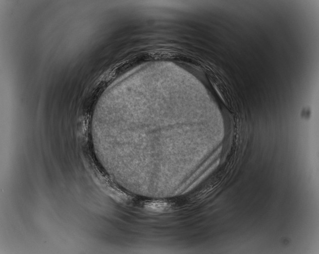 X0000115020759200911231250