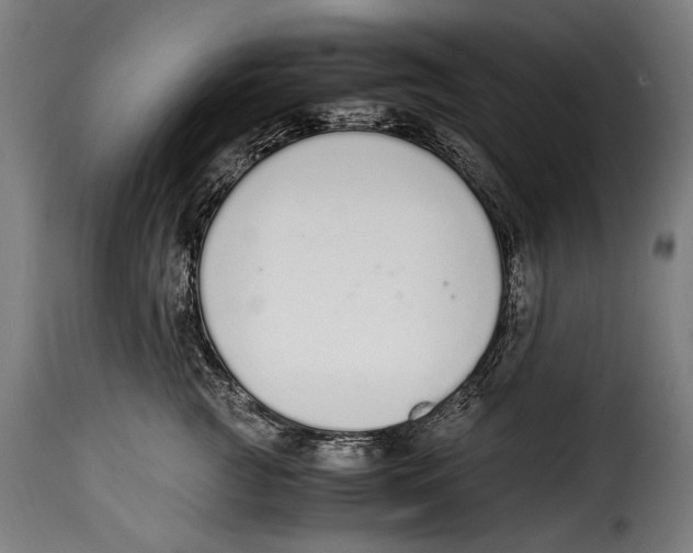 X0000115020761200911231250