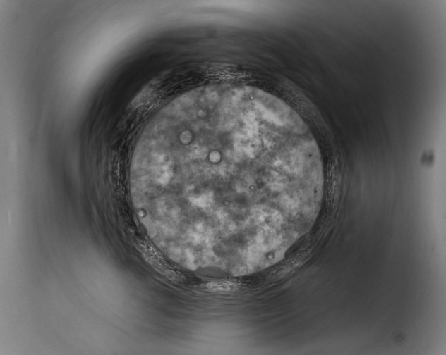 X0000115020762200911231250