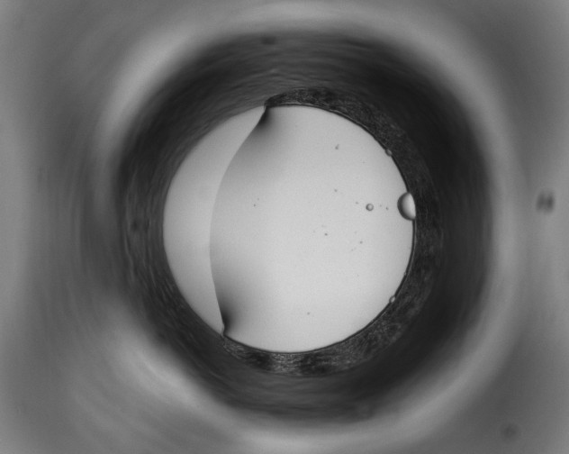 X0000115020766200911231250