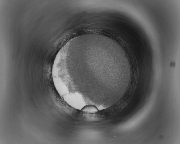 X0000115020767200911231250